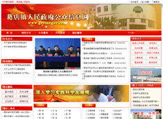 武漢市陸叁玖科技 專(zhuān)業(yè)網(wǎng)站建設(shè)與軟件開(kāi)發(fā)服務(wù)