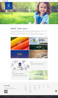 專注數字未來 佛山市火龍科技——您的網站設計、軟件開發與移動互聯網一體化解決方案專家