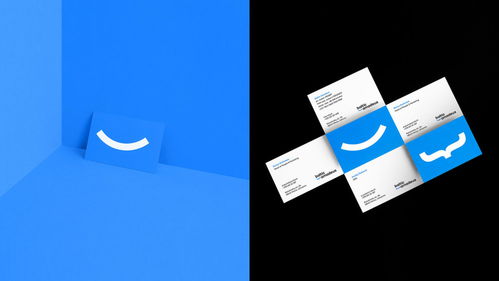 數(shù)字時代的匠心融合 Baltic Amadeus 定制軟件開發(fā)公司品牌形象設計解析